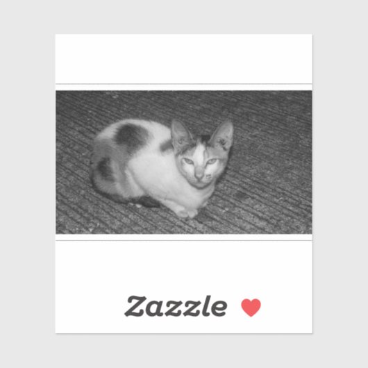S/W - Katze 03 Aufkleber (Blatt)