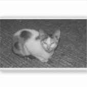 S/W - Katze 03 Aufkleber (Vorderseite)