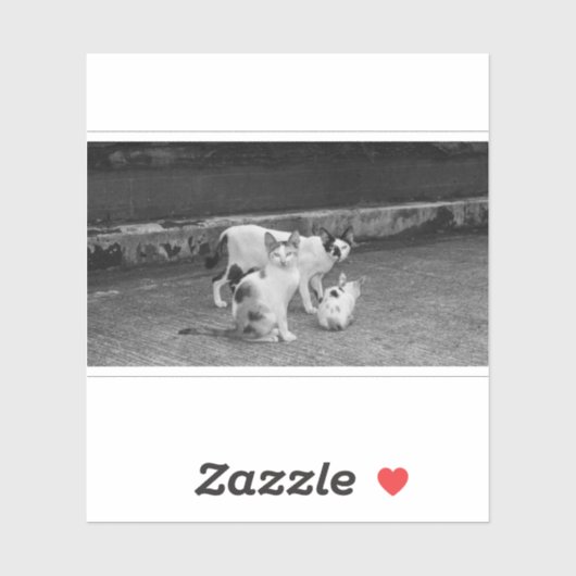 S/W - Katzen Aufkleber (Blatt)