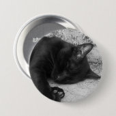 S/W - Schlafende Katze Button (Vorne & Hinten)