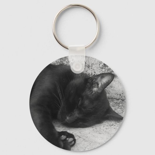 S/W - Schlafende Katze Schlüsselanhänger (Vorderseite)