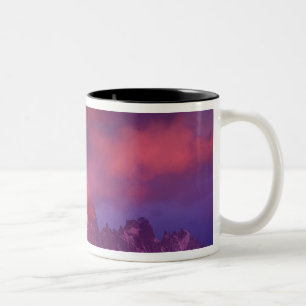 SA, Argentinien, Nationalpark Los Glaciares, Zweifarbige Tasse