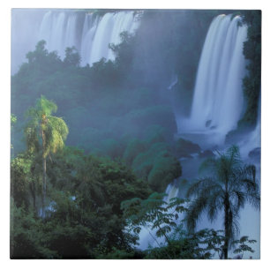 SA, Brasilien, Bundesstaat Paraná; Iguacu NP, Igua Fliese
