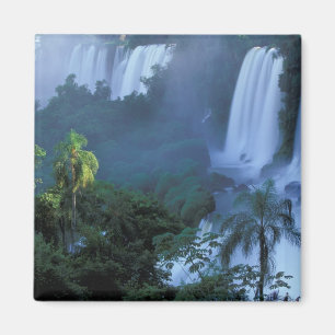 SA, Brasilien, Bundesstaat Paraná; Iguacu NP, Igua Magnet