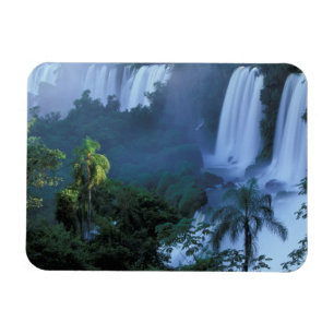 SA, Brasilien, Bundesstaat Paraná; Iguacu NP, Igua Magnet