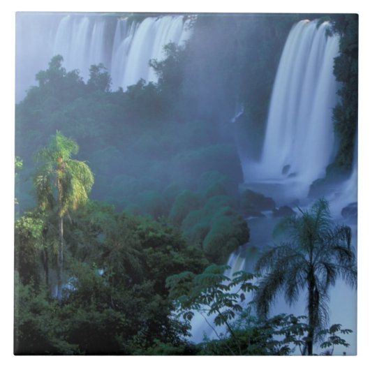 SA, Brasilien, Parana Staat; Iguacu NP, Iguacu Fliese (Vorderseite)