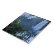 SA, Brasilien, Parana Staat; Iguacu NP, Iguacu Fliese (Seite)