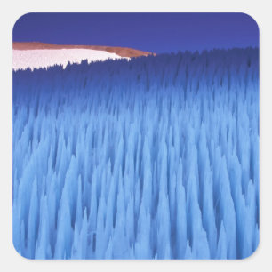 SA, Chile, Coquimbo Region, Nieve Penitente; Quadratischer Aufkleber