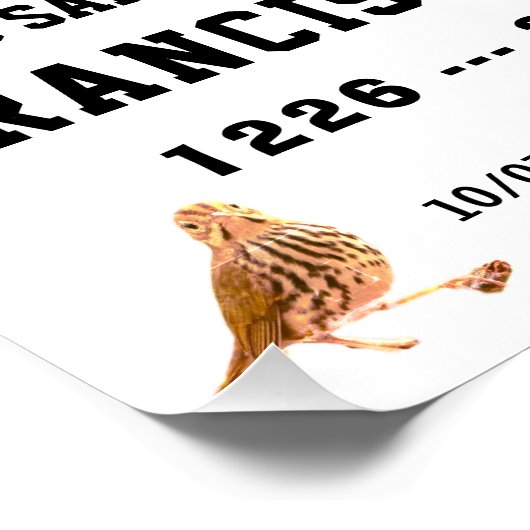 Sa  Francisco de Assisi Glossy Poster (Ecke)