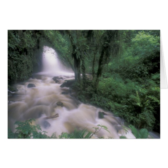 SA, Peru, S.H. Machu Picchu, Cascade und Cloud (Vorderseite (Horizontal))