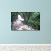 SA, Peru, S.H. Machu Picchu, Cascade und Cloud Leinwanddruck (Insitu (Holzboden))