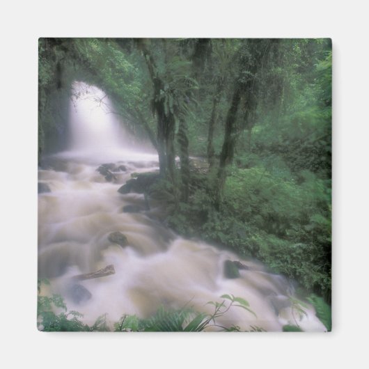 SA, Peru, S.H. Machu Picchu, Cascade und Cloud Magnet (Vorne)