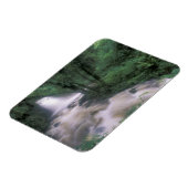 SA, Peru, S.H. Machu Picchu, Cascade und Cloud Magnet (Linke Seite)