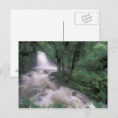 SA, Peru, S.H. Machu Picchu, Cascade und Cloud Postkarte (Vorne/Hinten)