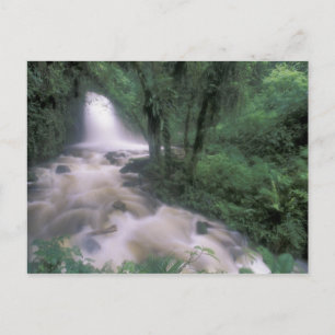 SA, Peru, S.H. Machu Picchu, Cascade und Cloud Postkarte