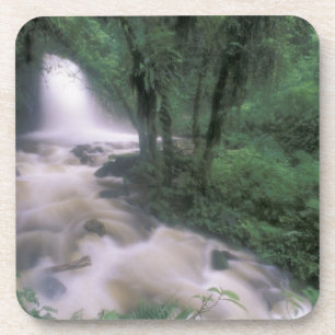 SA, Peru, S.H. Machu Picchu, Kaskade und Wolke Untersetzer