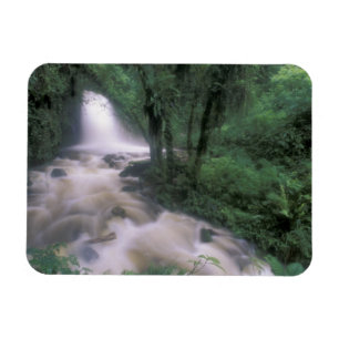 SA, Peru, S.H. Machu Picchu, Wasserfall und Wolke Magnet