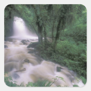 SA, Peru, S.H. Machu Picchu, Wasserfall und Wolke Quadratischer Aufkleber