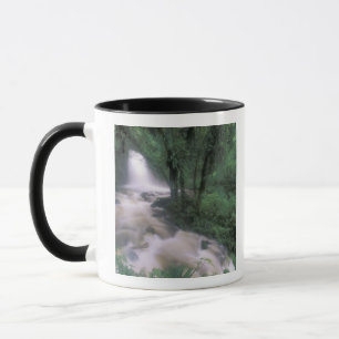 SA, Peru, S.H. Machu Picchu, Wasserfall und Wolke Tasse