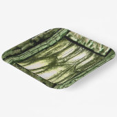 Saal der Soule Pappteller (Gewinkelt)