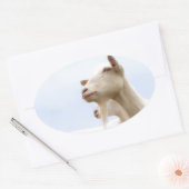 Saanen-Ziege Ovaler Aufkleber (Umschlag)