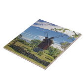 Saaremaa, Insel Estland, Fliese (Seite)