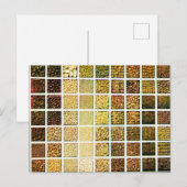 Saatgitter - Vintages Foto 1912 Postkarte (Vorne/Hinten)