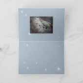 Saatgut 4 morgen karte (Innenseite)