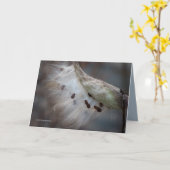 Saatgut 4 morgen karte (Gelbe Blume)