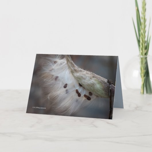 Saatgut 4 morgen karte (Vorderseite)