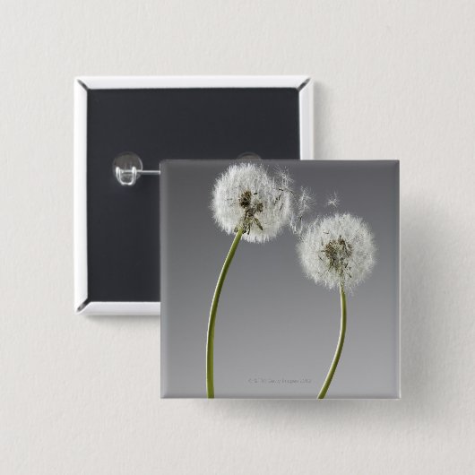 Saatgut, das zwei Lüstern verbindet Button (Vorne & Hinten)