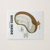 Saatgut im Innern (Anatomie der Dicotyledon-Bean-P Puzzle (Horizontal)