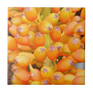 Saatgut Kleine (4,25" x 4,25") Keramik Foto Tile Fliese