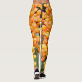 Saatgut Leggings (Rückseite)
