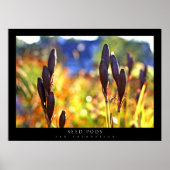 Saatgut Poster (Vorne)