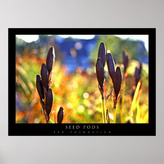 Saatgut Poster (Vorne)