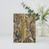 Saatgut Postkarte (Stehend Vorderseite)