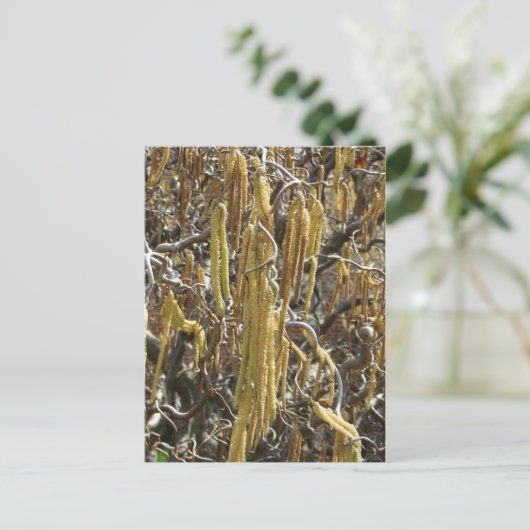 Saatgut Postkarte (Stehend Vorderseite)