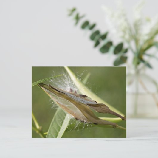 Saatgut Postkarte (Stehend Vorderseite)