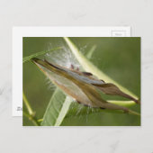 Saatgut Postkarte (Vorne/Hinten)