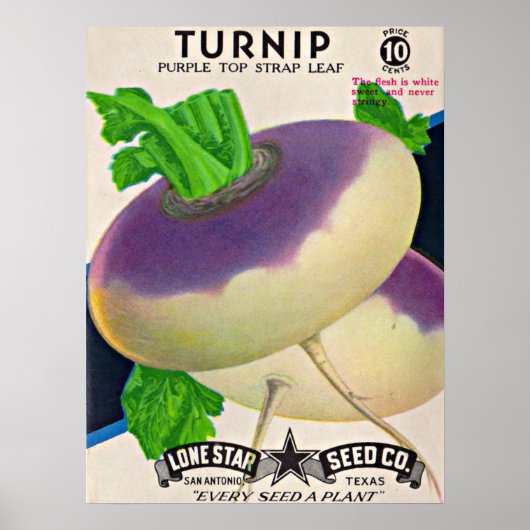 Saatgutpackungen der 50er Jahre Poster (Vorne)