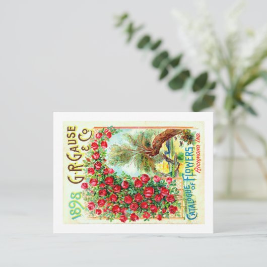 Saatgutpackungen. Postkarte (Stehend Vorderseite)