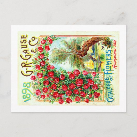 Saatgutpackungen. Postkarte (Vorderseite)