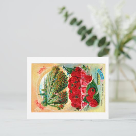 Saatgutpackungen. Postkarte (Stehend Vorderseite)