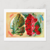 Saatgutpackungen. Postkarte (Vorderseite)