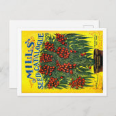 Saatgutpackungen. Postkarte (Vorne/Hinten)