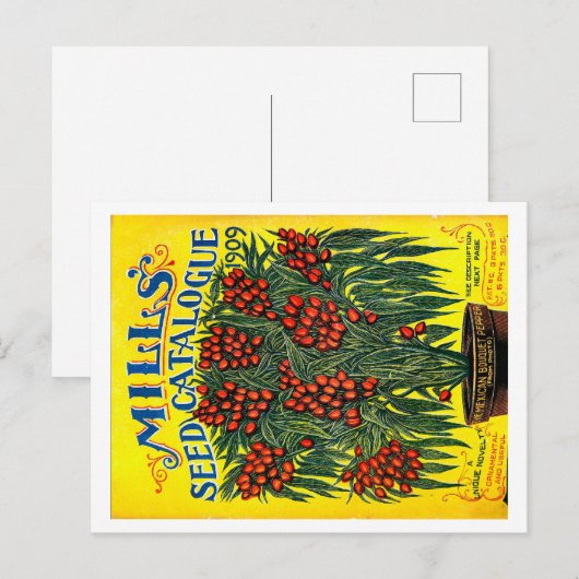 Saatgutpackungen. Postkarte (Vorne/Hinten)