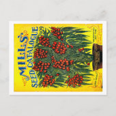 Saatgutpackungen. Postkarte (Vorderseite)