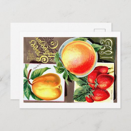 Saatgutpackungen. Postkarte (Vorne/Hinten)