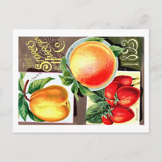 Saatgutpackungen. Postkarte (Vorderseite)